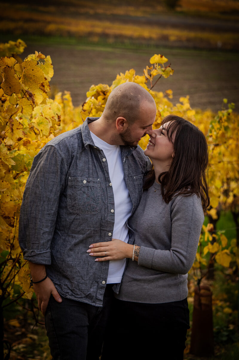 Séance photo couple dans les vignes alsace laura évasion photographie