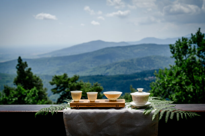 Dégustation de thé en pleine montagne, Barr Alsace