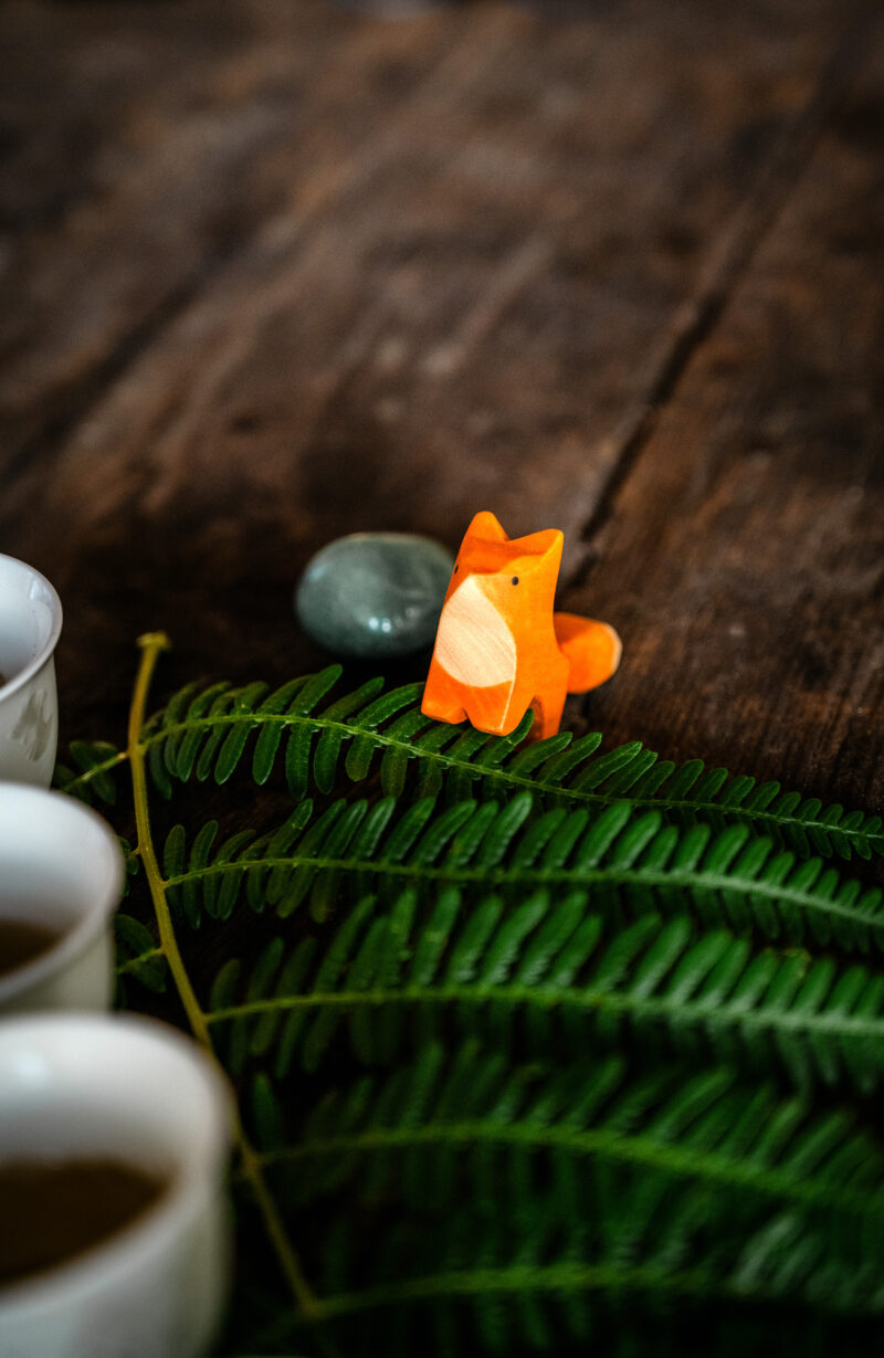 Compagnon de thé renard pendant la dégustation