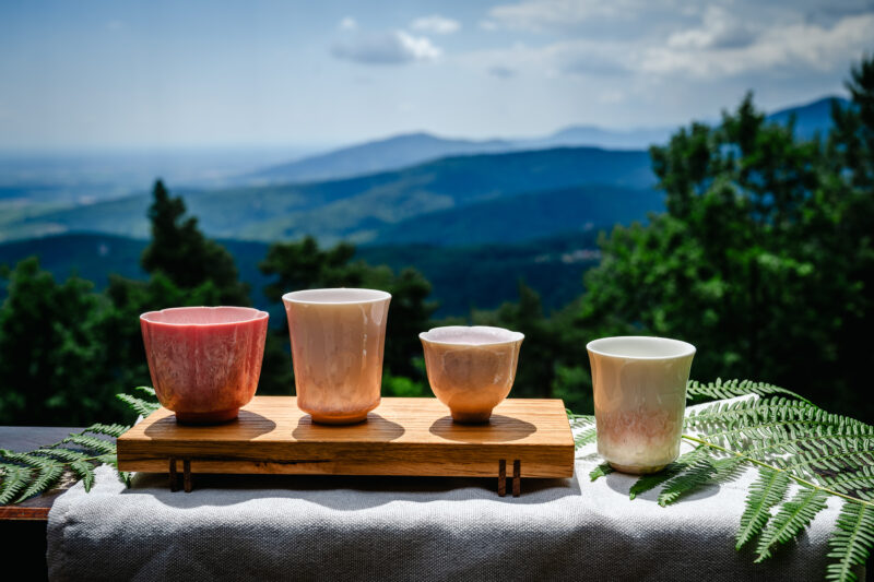 Vue sur tasses de thé colorées avec feuillage et vue sur la montagne